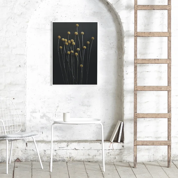 Papier Collectief - Stilleven 01