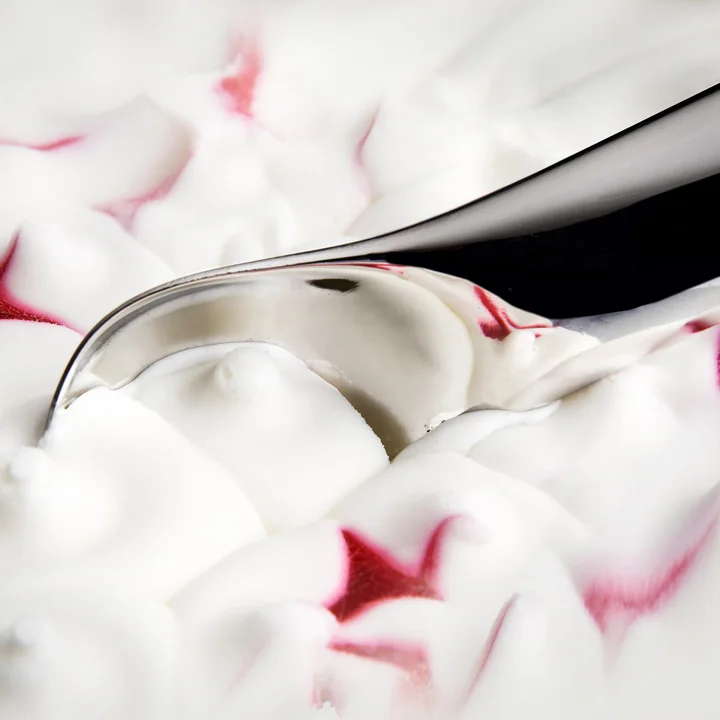 Koki Ijslepel van Alessi