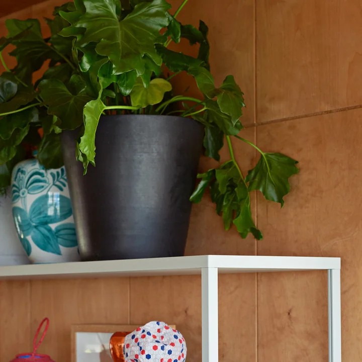 Het hooi - Bloempotje met schotel XXL in zwart