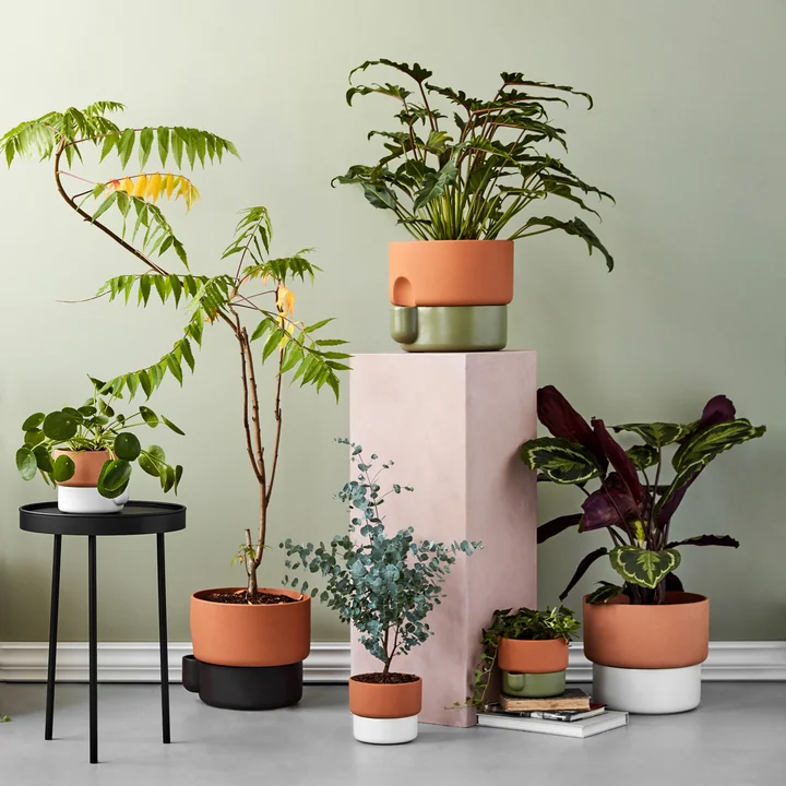 De Northern - Oasis Plant pot