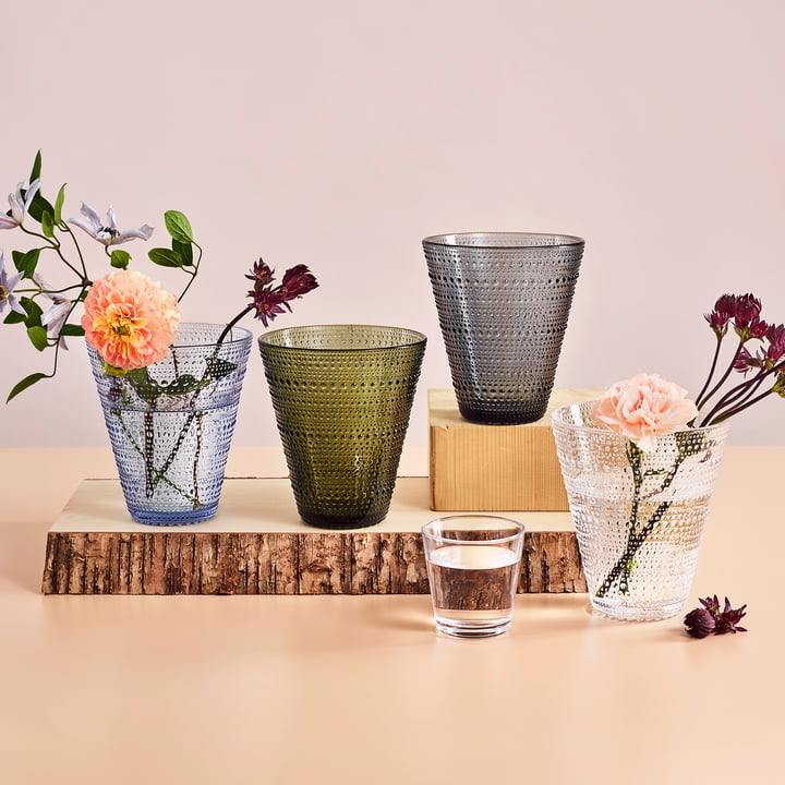 De Iittala - Kastehelmi vaas 154 mm met bloemen