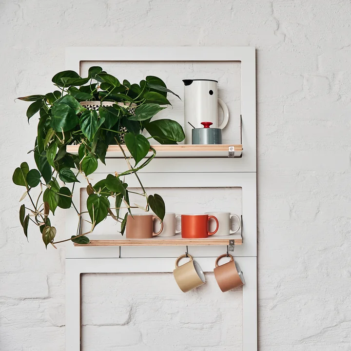 Ambivalenz - Fläpps Plank