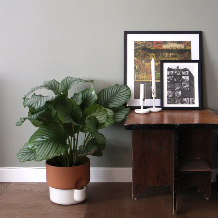 Rudi Wulff Homestory - Plantenpot