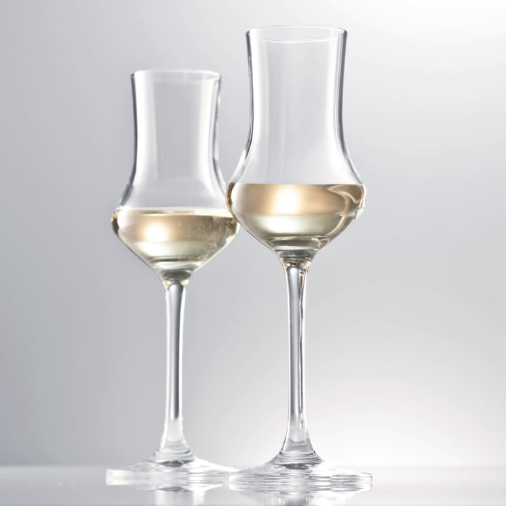 Spijsvertering Grappa glas van Schott Zwiesel