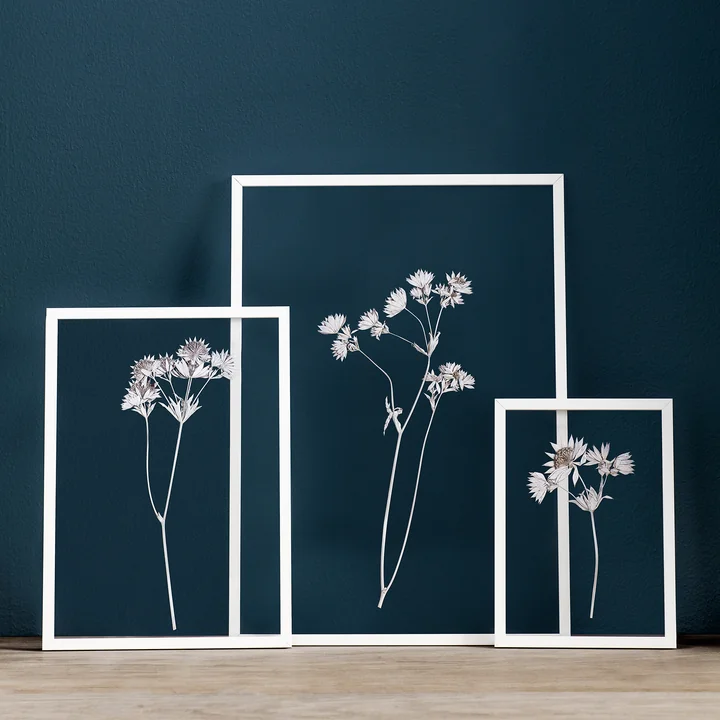 Frame Fotolijst van Moebe in wit met gedroogde bloemen