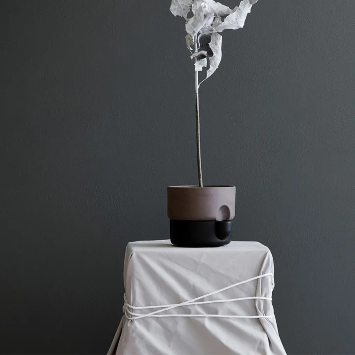 Oasis Plantpot, Ø 15 cm zwart van Northern met plant