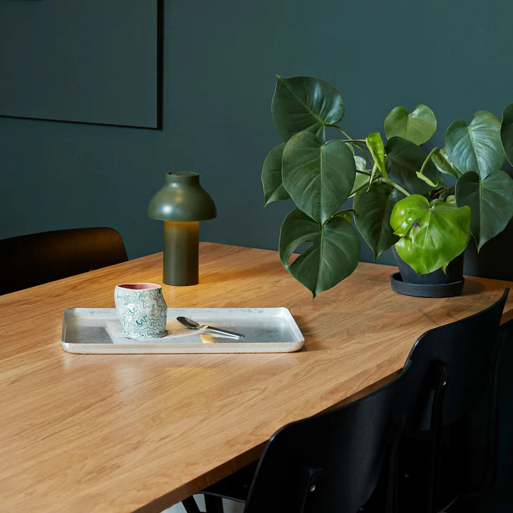 PC Portable LED HAY Licht uit in olijfkleur (RAL 6003)