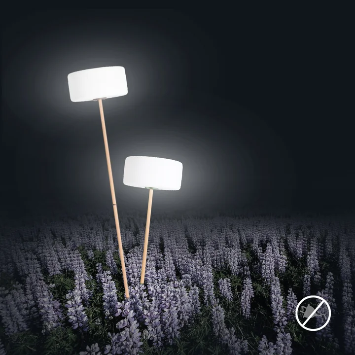 Infographic - Tuinverlichting