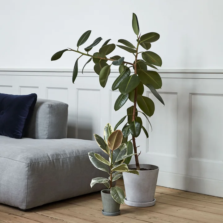 Mags Soft Sofa en Bloempot met onderzetter by HAY