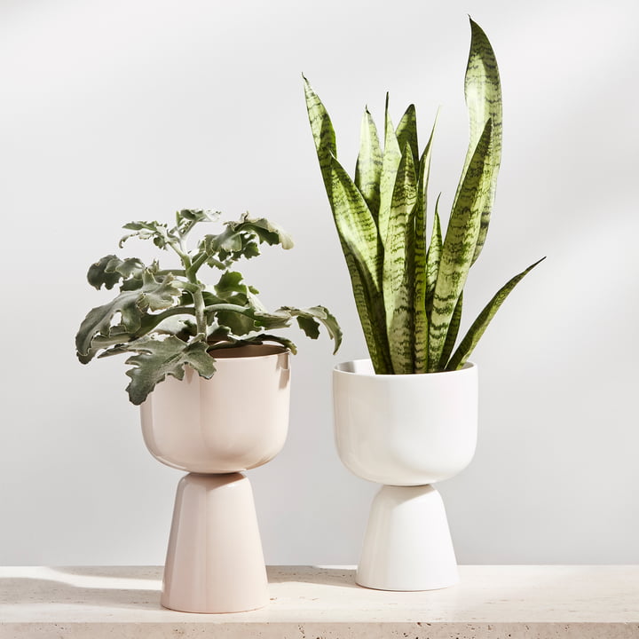 Nappula bloempot van Iittala