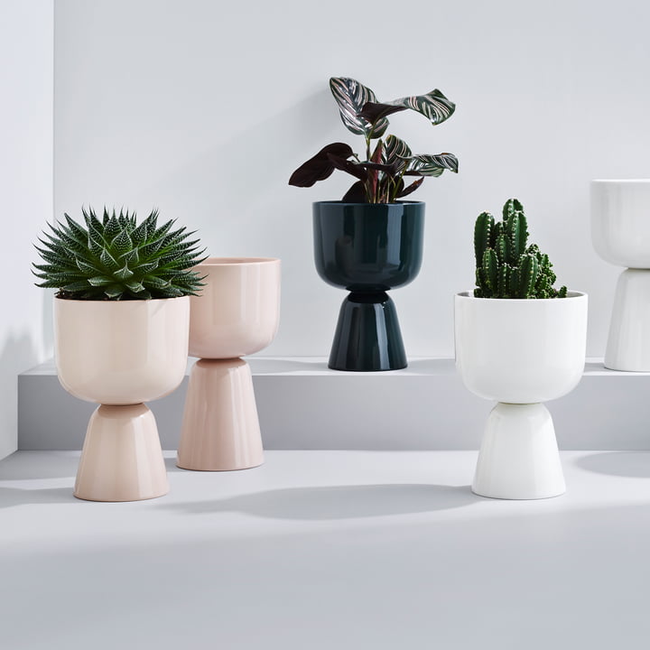 Nappula bloempot van Iittala