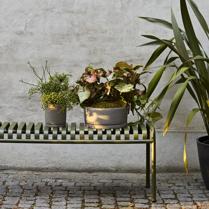 HAY - Palissade Bank