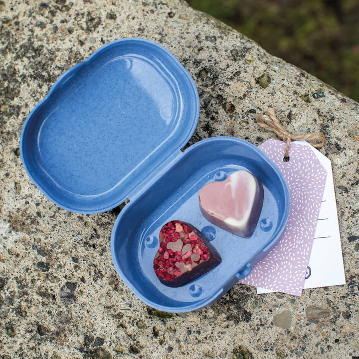 Pascal Mini lunchbox van Koziol in organic blauw