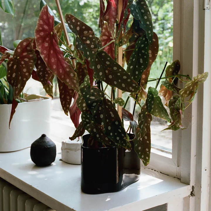 Riihitie plantenbak van Artek in donkerbruin