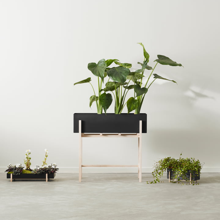 Botanic Box van Design House Stockholm