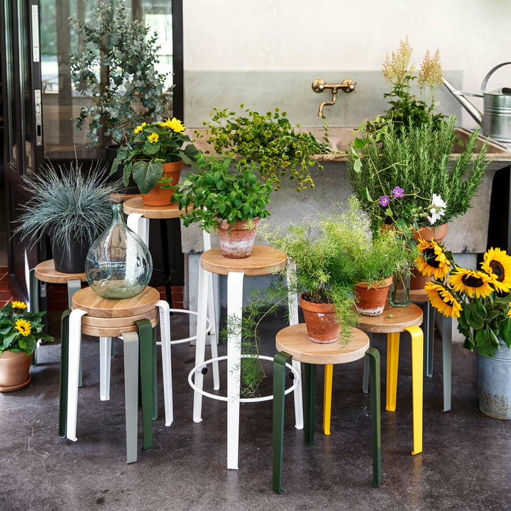 LOU Kruk en Lou Barkruk van TipToe als opslag voor het presenteren van bloemen en planten