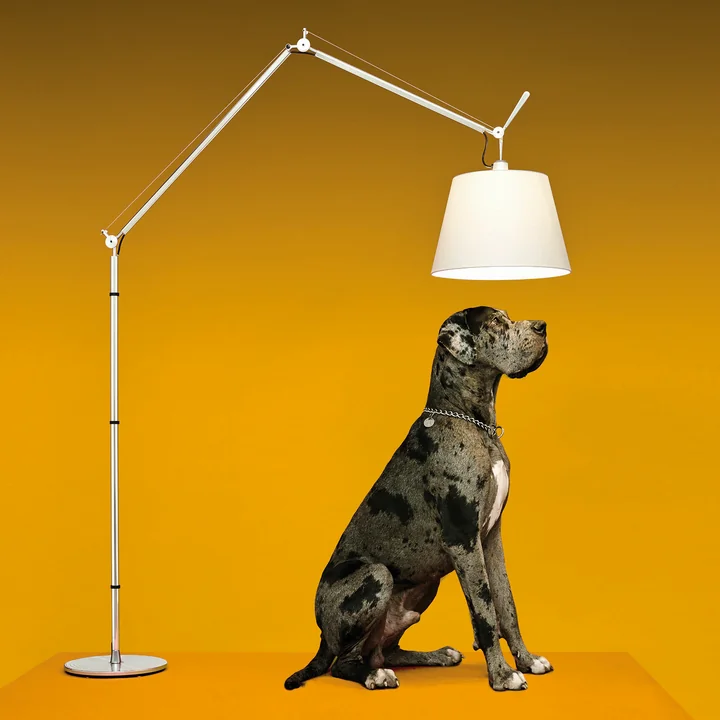 Tolomeo Mega LED vloerlamp van Artemide