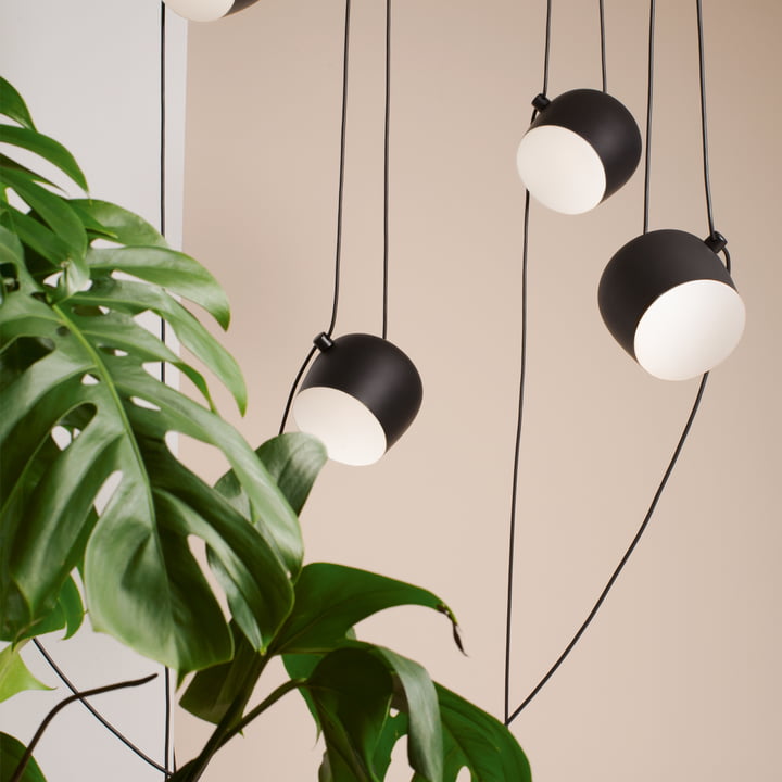 De AIM LED hanglamp van Flos naast een kamerplant