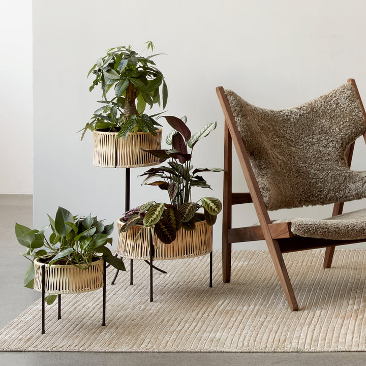 De Umanoff plantenbakken, rotan / zwart in combinatie met de Knitting Chair, walnoot / Sheepskin Cork 19 en het Houkime vloerkleed, beige van Audo .