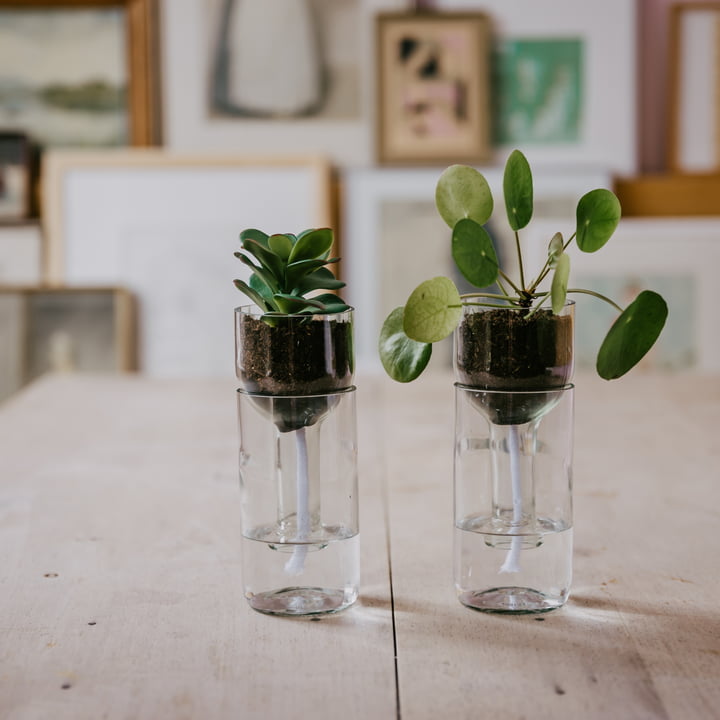 De Self Watering Bottle bloempot van side by side op een houten tafel.