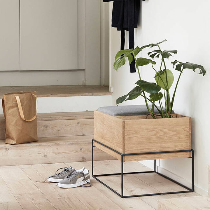 Zitten, planten, decoratie: stijlvol design in de gang