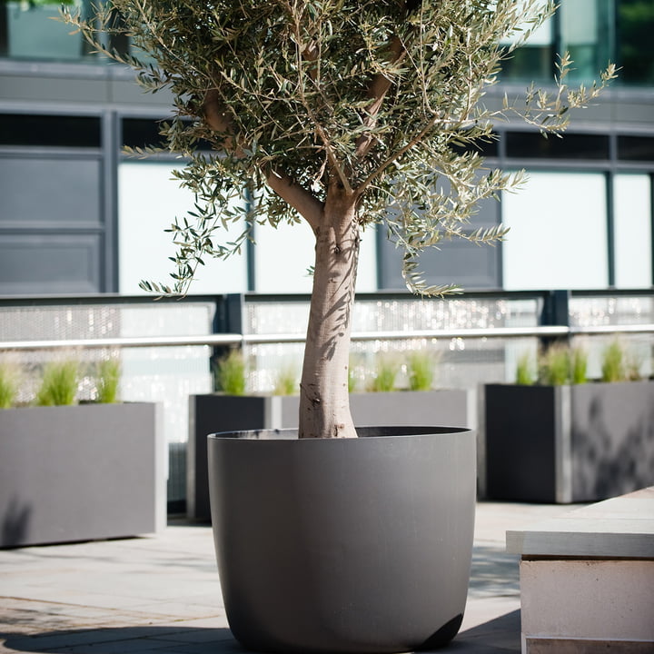 De Kyoto bloempot van Eternit op het dakterras