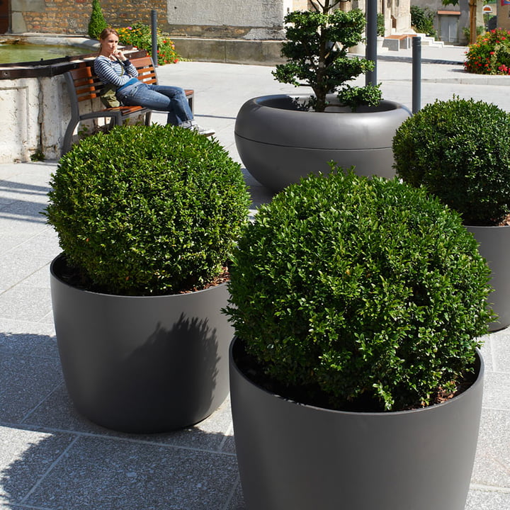 De Kyoto bloempot van Eternit met buxus