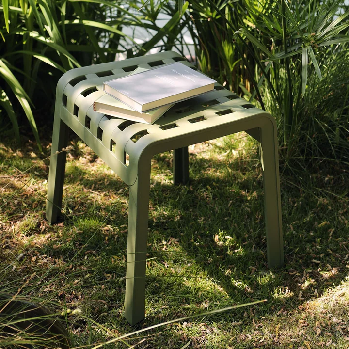 De Poggio kruk van Nardi in agave in de natuur