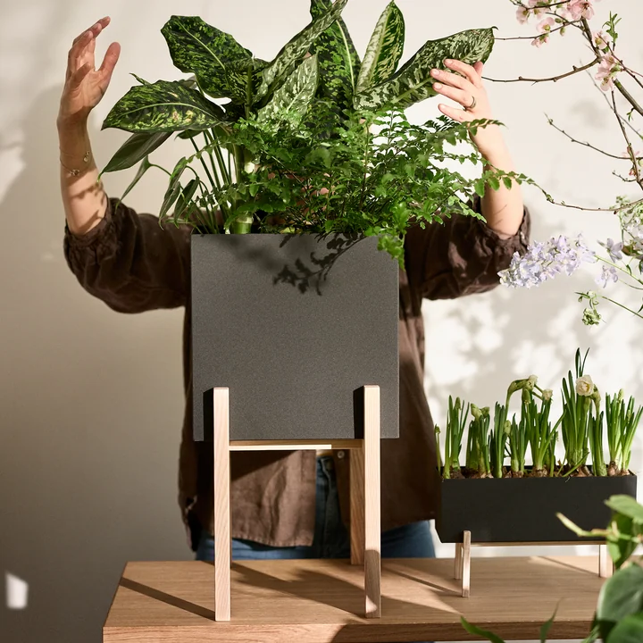 De Botanic Pedestal Pot van Design House Stockholm houdt alles netjes