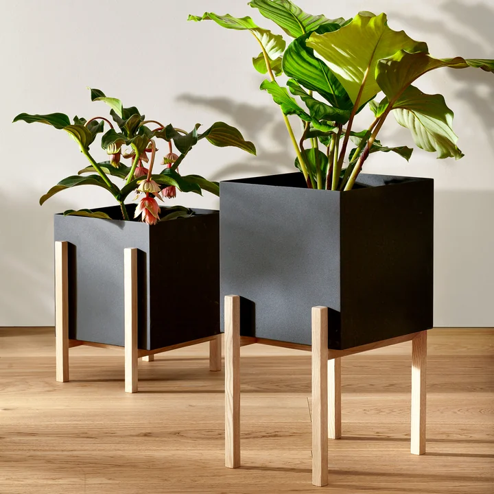 De Botanic Pedestal Pot van Design House Stockholm brengt groen in huis