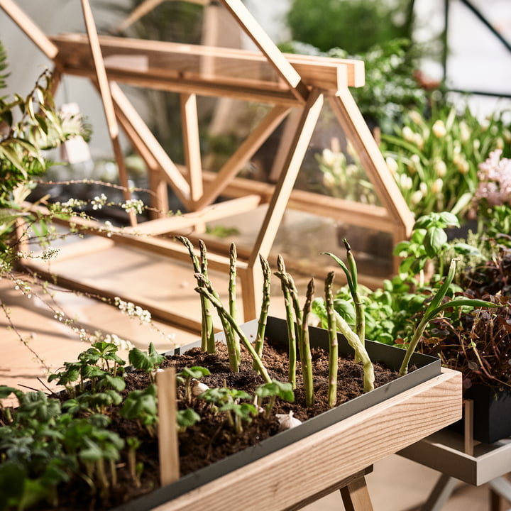 De Greenhouse van Design House Stockholm geeft ruimte aan de natuur