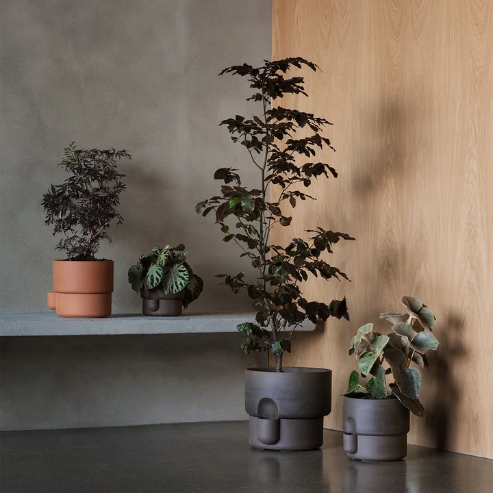 Oasis Plant pot van Northern