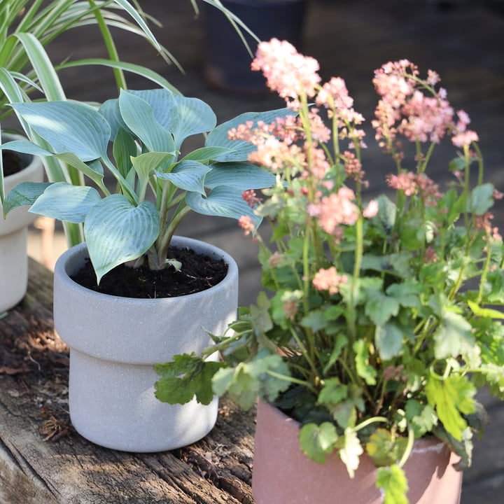 Flower Pot Planters van SACK it