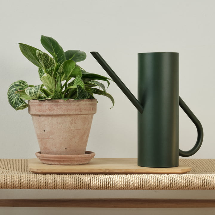 Bloom Gieter 2 l in pine van Stelton