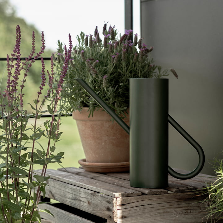 Bloom Gieter 2 l in pine van Stelton