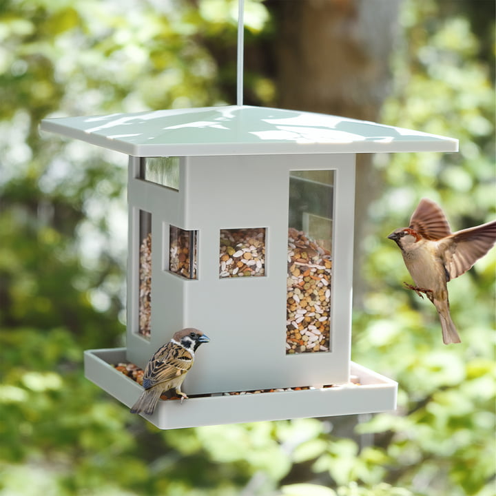 Bird Café Voerstation van Umbra