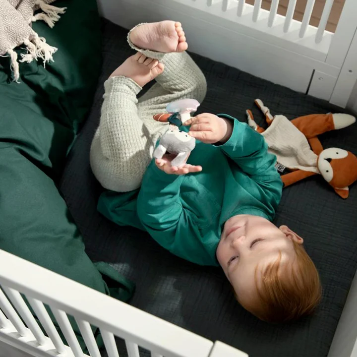 Activiteit rammelaar van Sebra