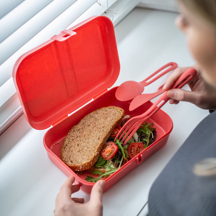 Pascal L Lunchbox met verdeler, nature coral van Koziol