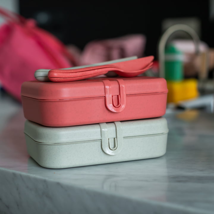 Pascal L Lunchbox met verdeler, nature coral en nature desert sand van Koziol