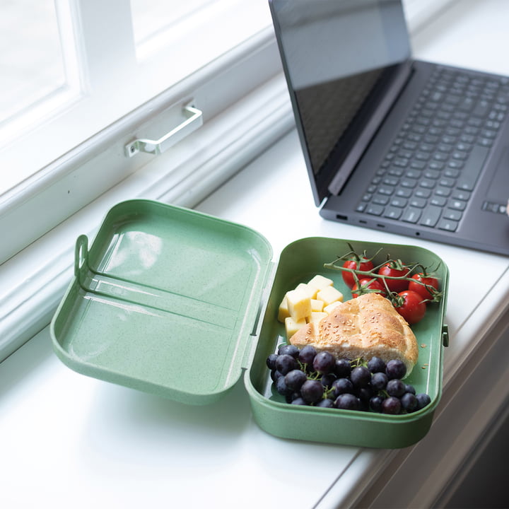 Pascal L Lunchbox met verdeler, nature leaf green van Koziol