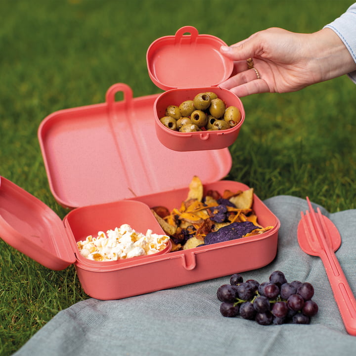 Pascal Ready Lunchbox set met Klikk bestek, nature coral by Koziol