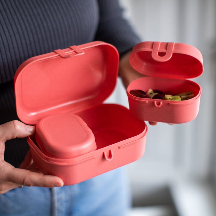 Pascal Ready Mini lunchpakket, nature coral van Koziol