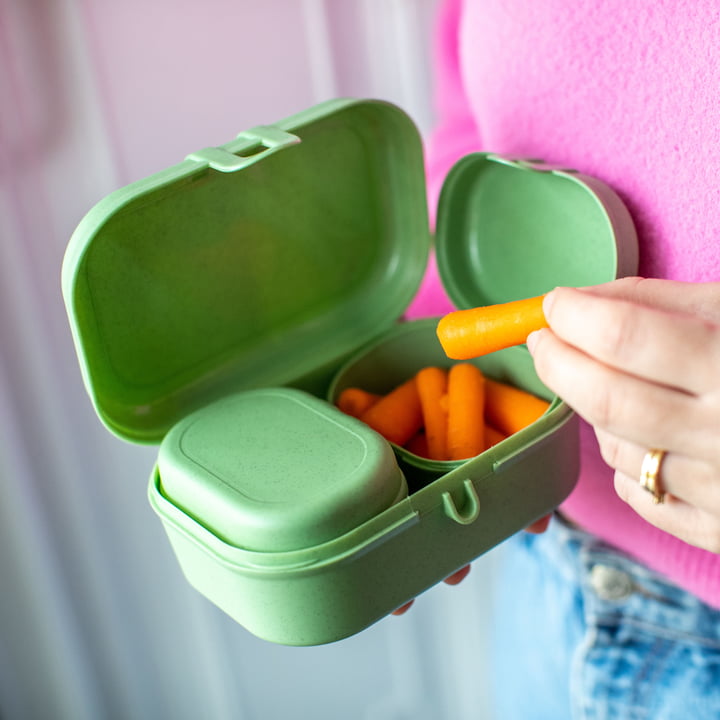 Pascal Ready Mini lunchpakket, nature leaf green van Koziol