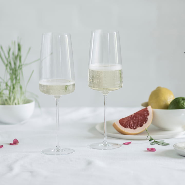 Simplify Collectie van Zwiesel Glas