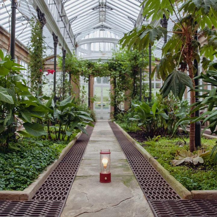 The Muse Oplaadbare LED tafellamp, pomona red van Tala