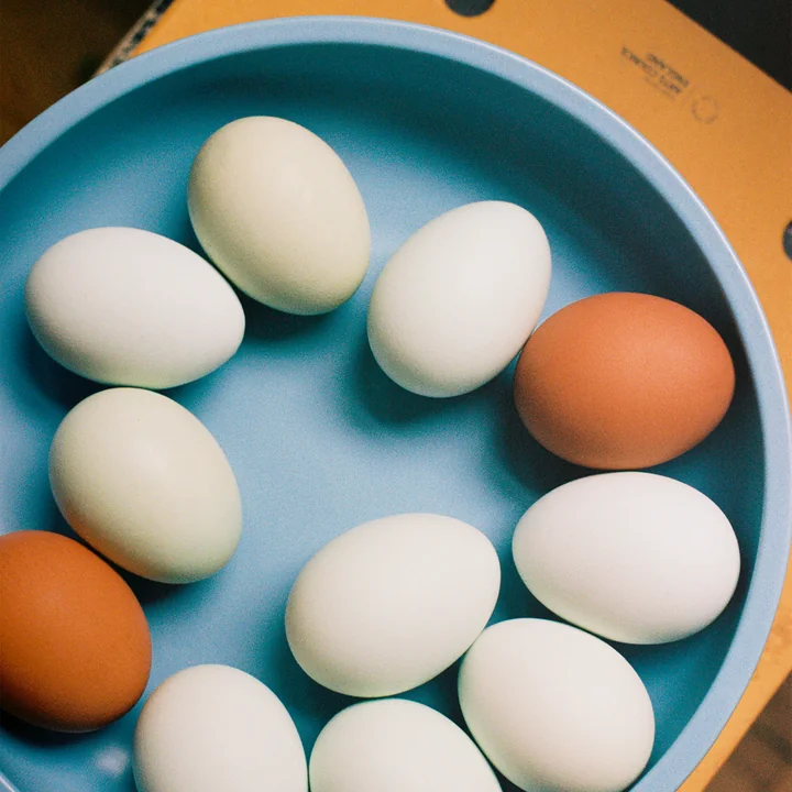 Sobremesa Situatie van HAY