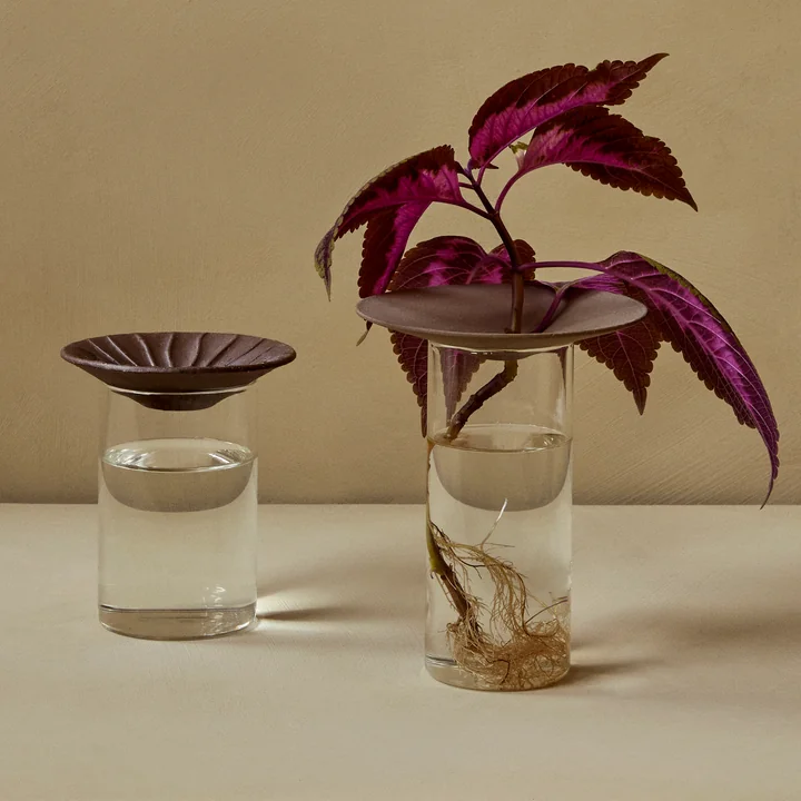 Cresco Propagation Vase (set van 2), bruin / beige by Audo