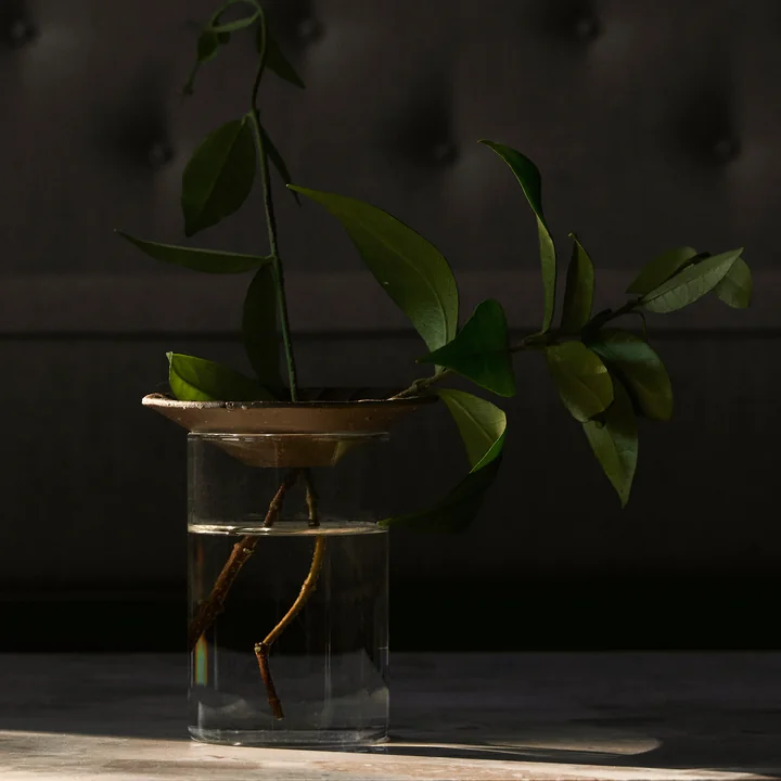 Cresco Propagation Vase (set van 2), bruin / beige by Audo