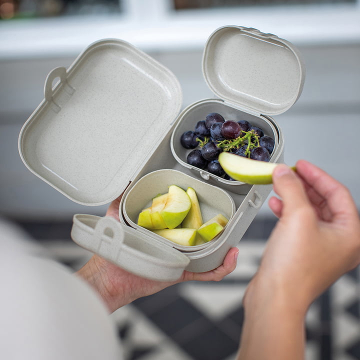 Koziol - Pascal Ready Mini Lunchbox Set