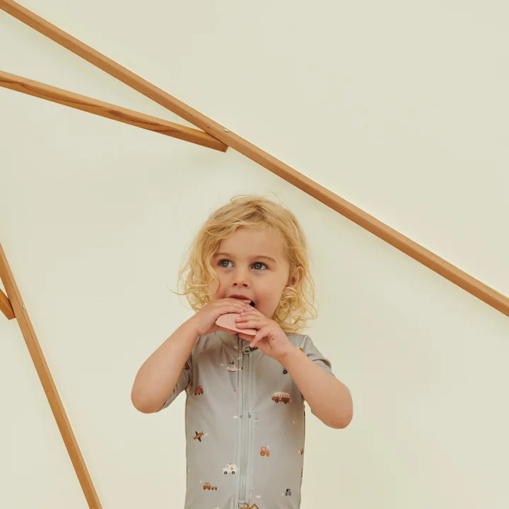 Malik Mini ijsvorm multimix (set van 6) van LIEWOOD